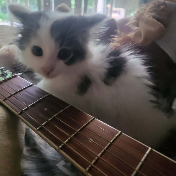 Hi! - Picture 4 of 4